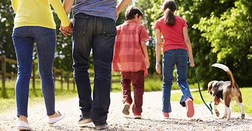 Family Counseling in Chicago